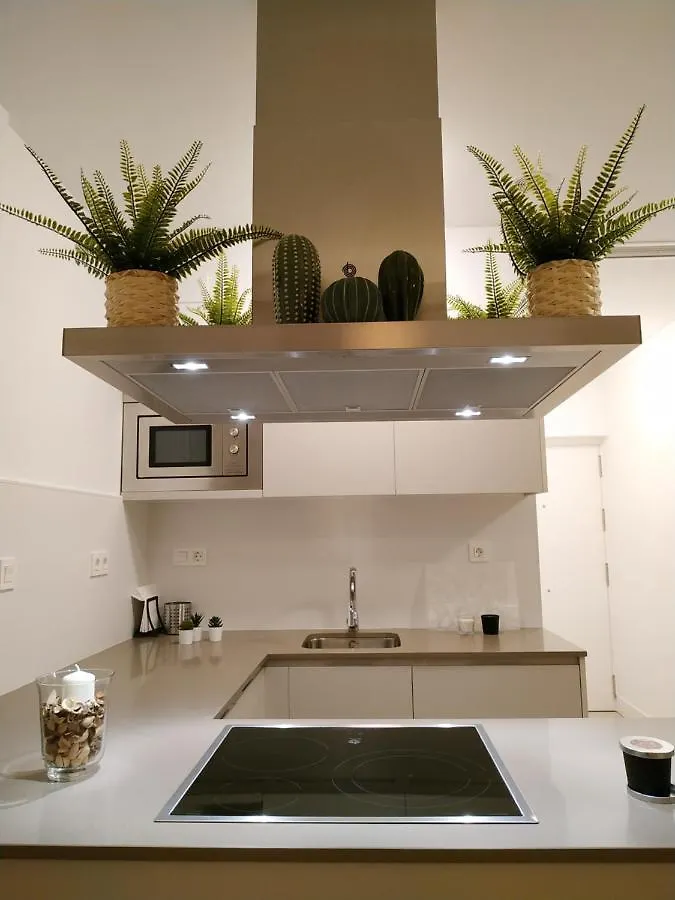 Larios Street Central Apartment Malaga Spain