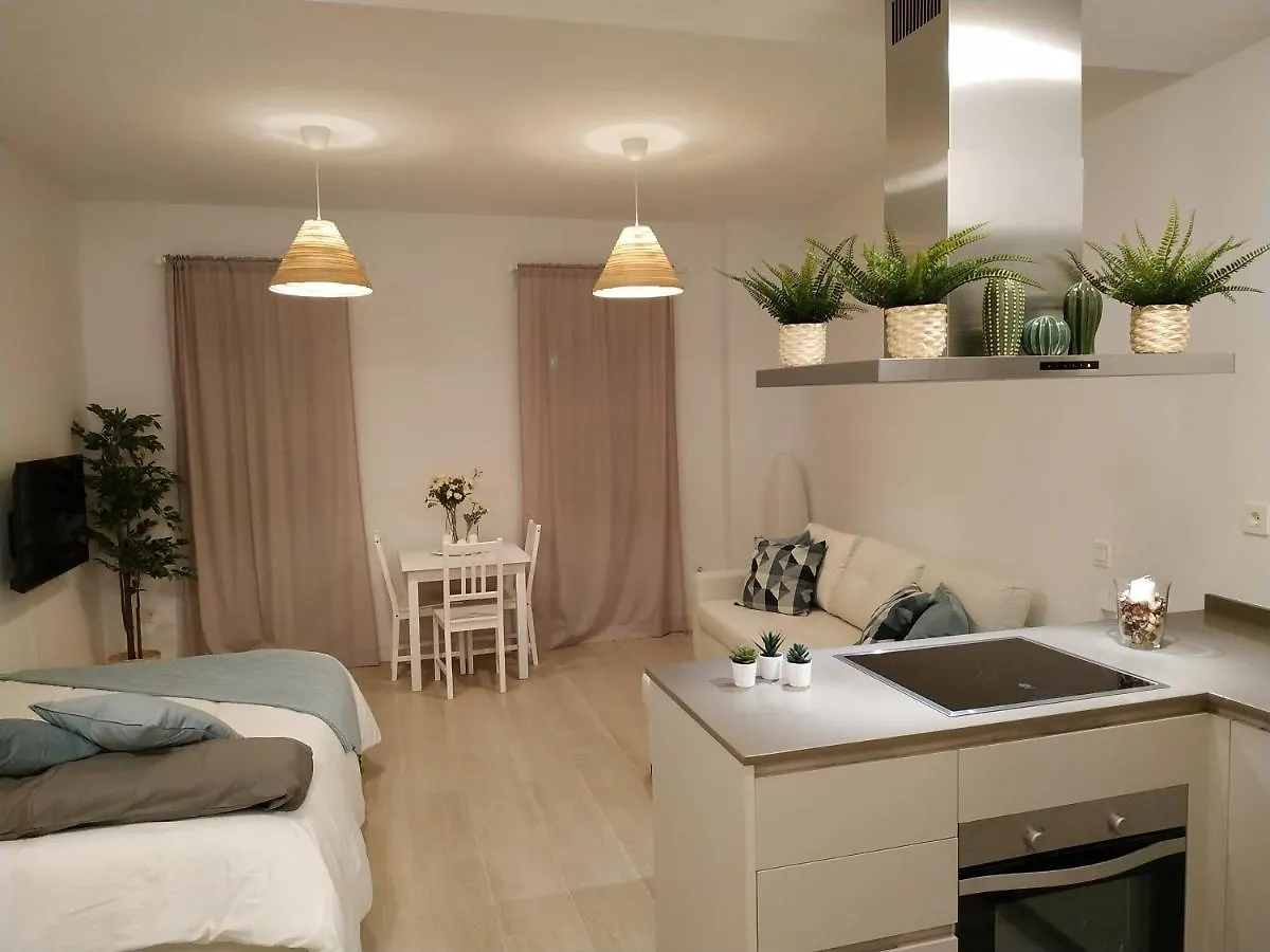 Larios Street Central Apartment Malaga Spain