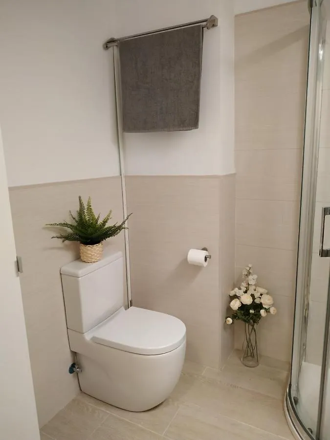 Larios Street Central Apartment Malaga 0*,