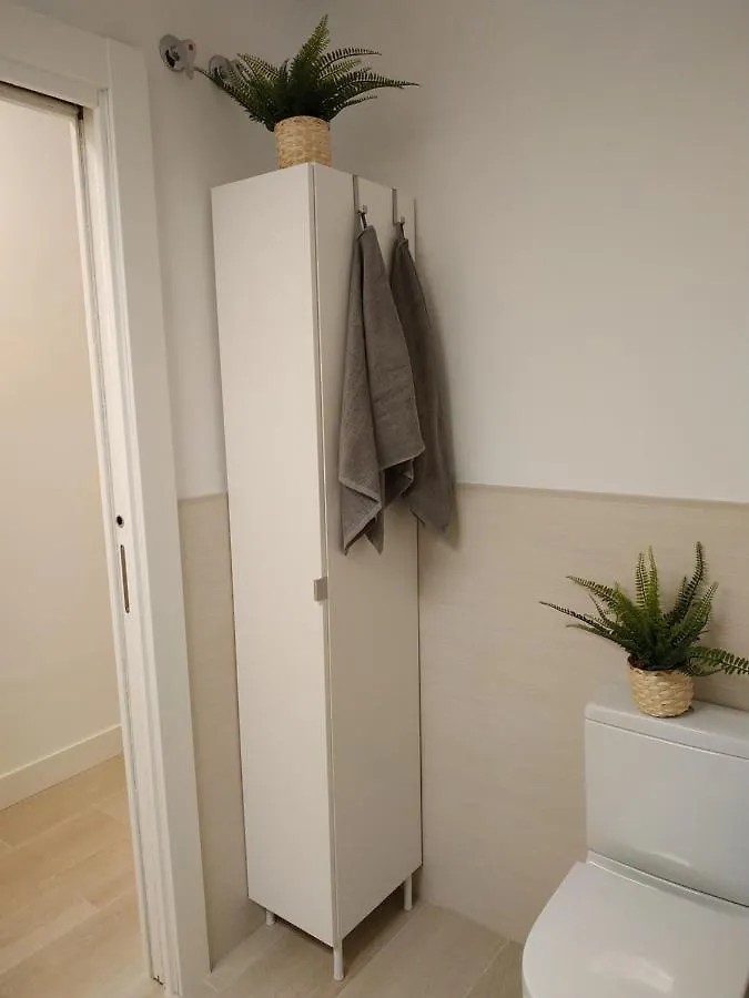 Larios Street Central Apartment Malaga