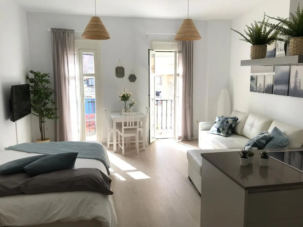 Larios Street Central Apartment Malaga