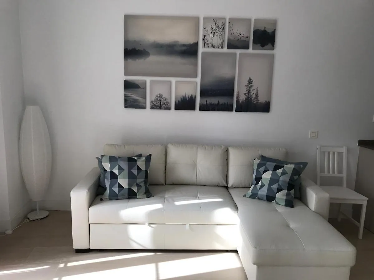 Larios Street Central Apartment Malaga